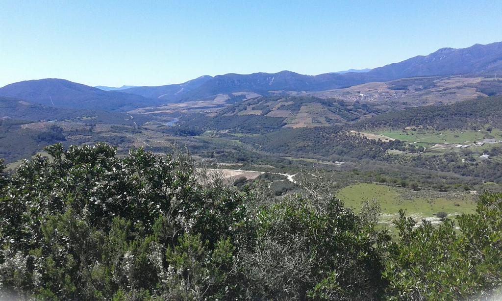 Hotel Rural Sierra De Francia Sotoserrano Buitenkant foto