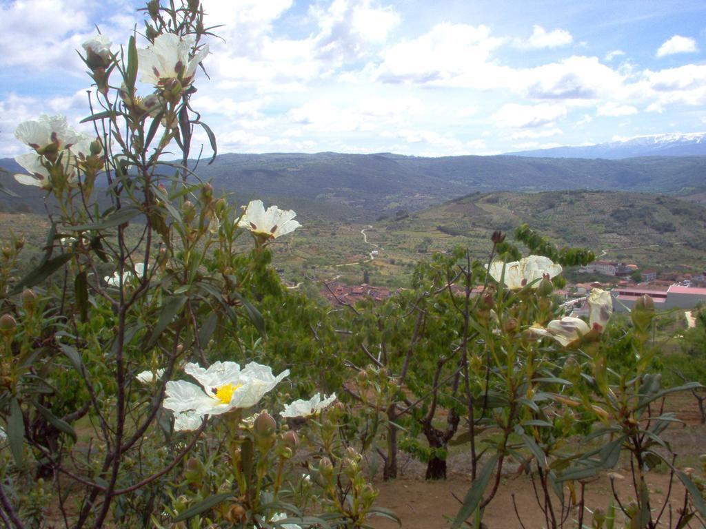 Hotel Rural Sierra De Francia Sotoserrano Buitenkant foto